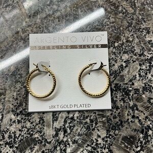Argentina Vivo Gold Hoop Earrings